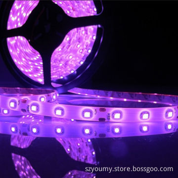 Professional Manufacturer SMD 3528 60 LEDs/m IP65 Pink LED Flexible Strips